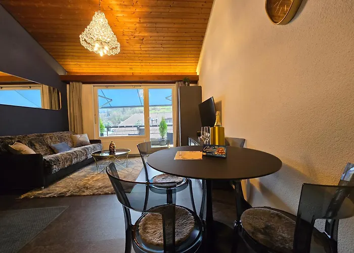 Lakeview Loft*lake/ferry Access* * Spiez